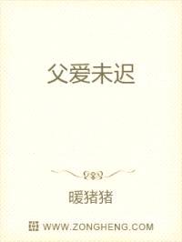 父爱未迟封面
