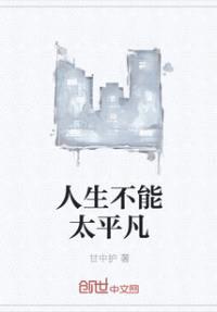 人生不能太平凡封面