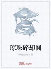 琼珠碎却圆封面
