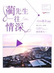 蔺先生，一往情深封面