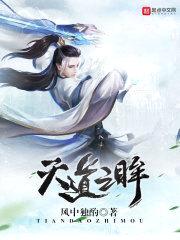 天道之眸封面