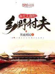 混在大唐的乡野村夫封面