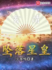 坠落星皇封面