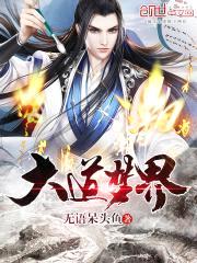 大道梦界封面