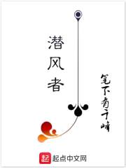 潜风者封面