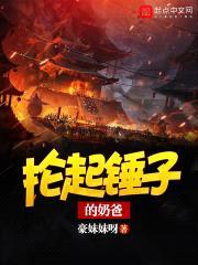 抡起锤子的奶爸封面