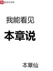 我能看见本章说封面