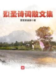 景圣诗词散文集封面