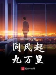 同风起，九万里封面