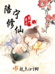 陪宁修仙封面