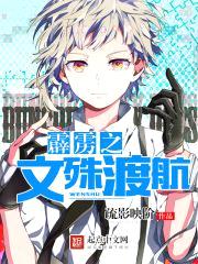 霹雳之文殊渡航封面