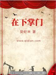 在下掌门封面