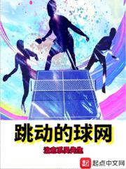 跳动的球网封面