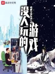 没人玩的游戏封面