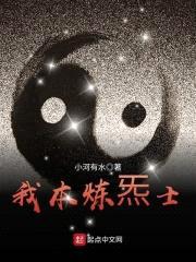 我本炼炁士封面