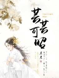 芸芸可昭封面