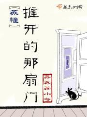 苏惟推开的那扇门封面