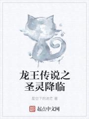 龙王传说之圣灵降临封面