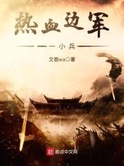 热血边军一小兵封面