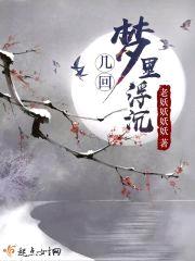 几回梦里浮沉封面