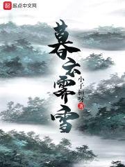 暮云霁雪封面