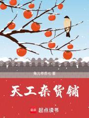 天工杂货铺封面