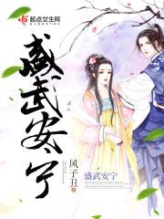 盛武安宁封面