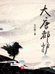 大唐都护封面