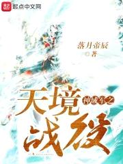 神域军之天境战役封面