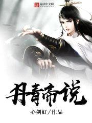 丹青帝说封面