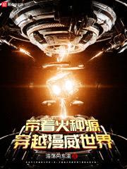 带着火种源穿越漫威世界封面