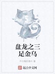 盘龙之三足金乌封面