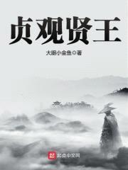 贞观贤王封面