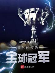 灵气时代的全球冠军封面