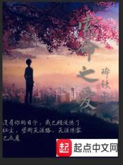 索命之爱封面