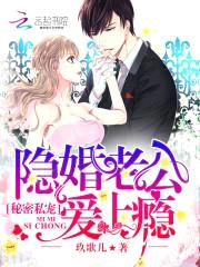 秘密私宠：隐婚老公爱上瘾封面