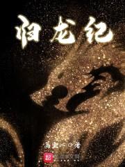 归龙纪封面
