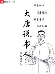 大唐说书人封面