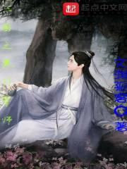三国之寒门军师封面