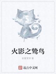 火影之鸷鸟封面
