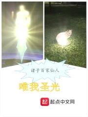 唯我圣光封面