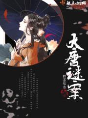 大唐谜案封面
