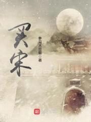买宋封面