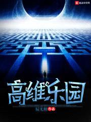 高维乐园封面