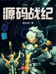 源码战纪封面