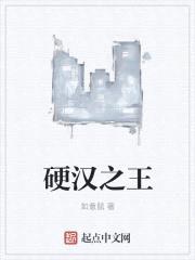 硬汉之王封面