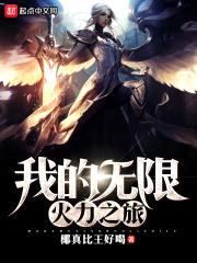 我的无限火力之旅封面