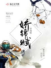 娇锦赋封面