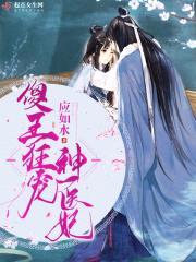 傻王狂宠神医妃封面