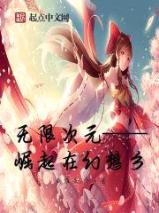 无限次元——崛起在幻想乡封面